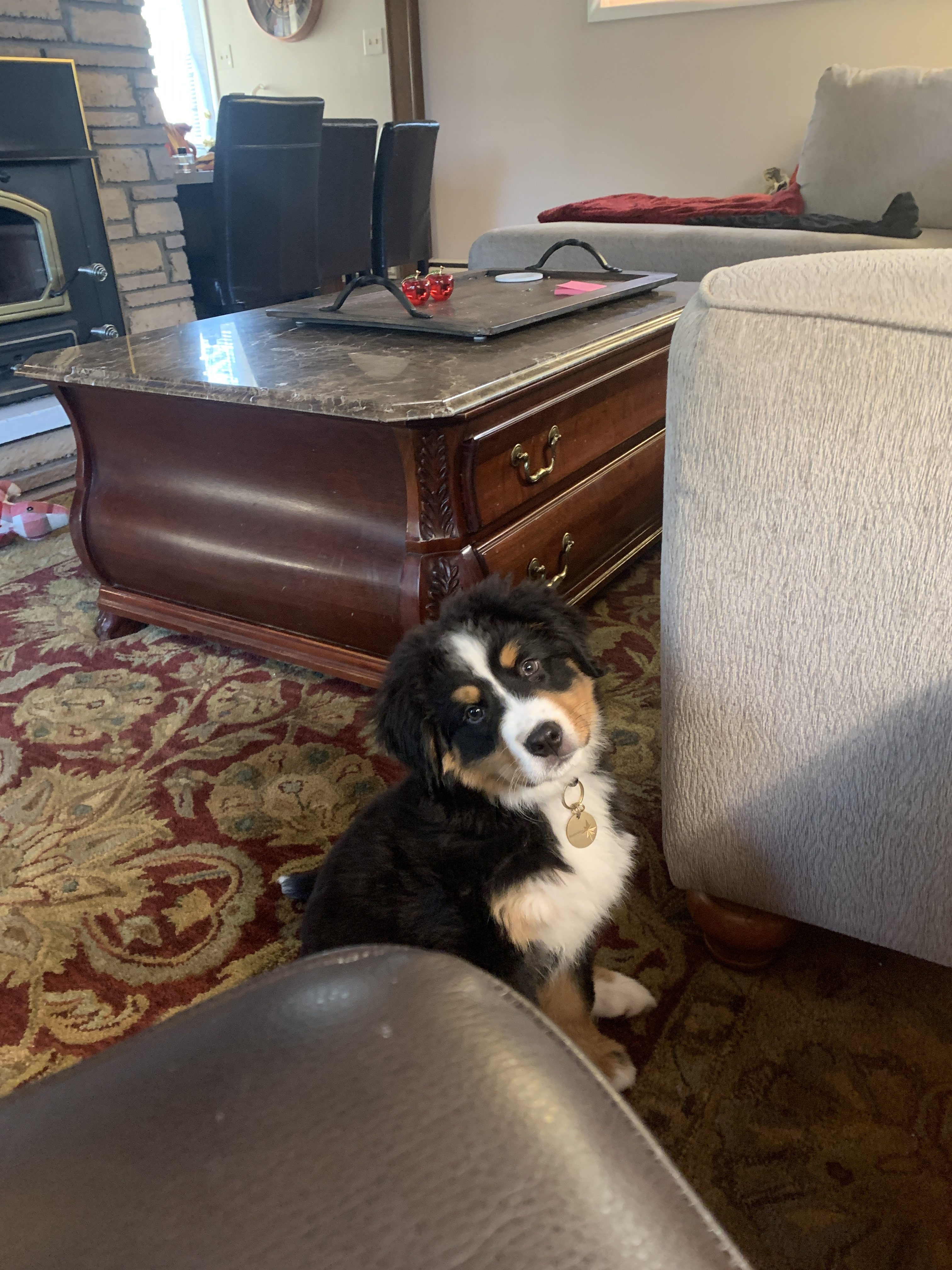 “The Watchful Eyes of Barnabee”