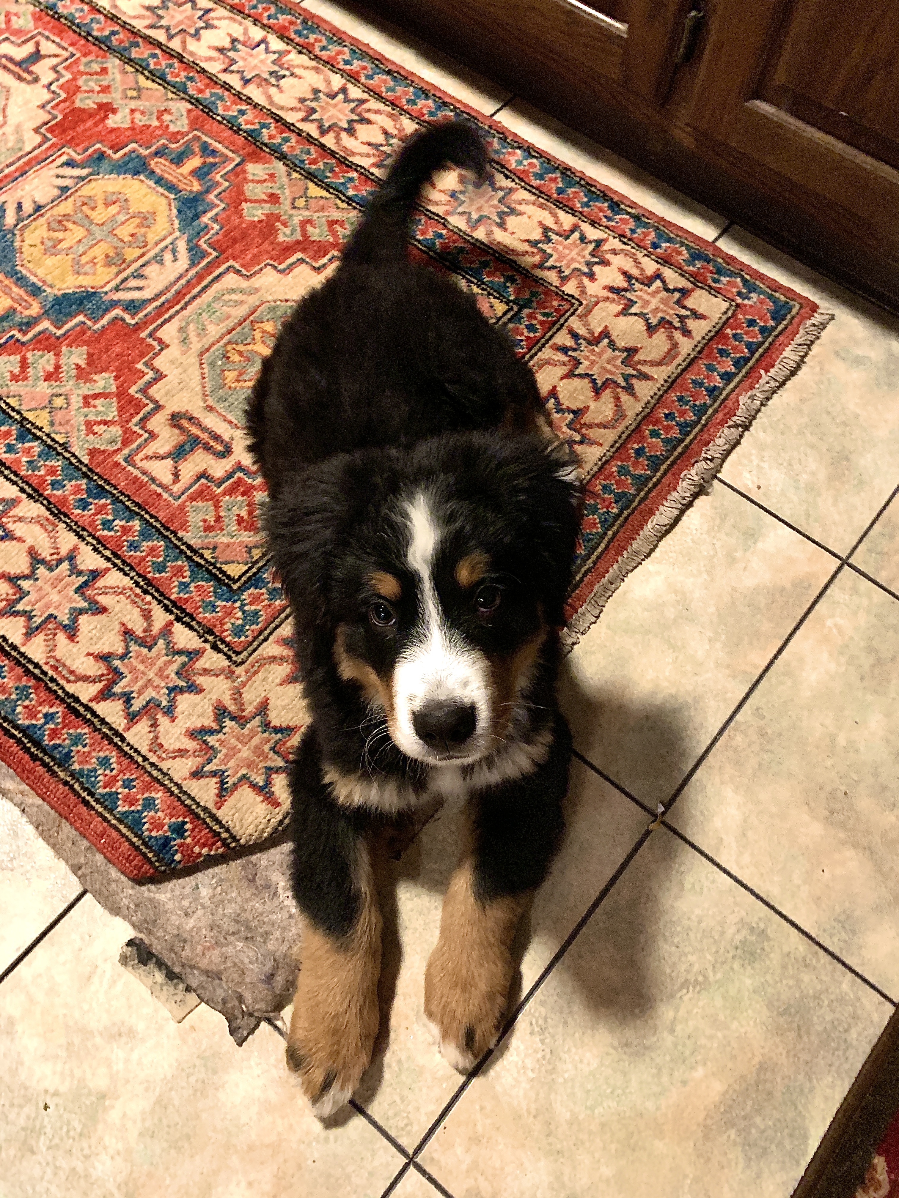 “The Case of the Midnight Snack”